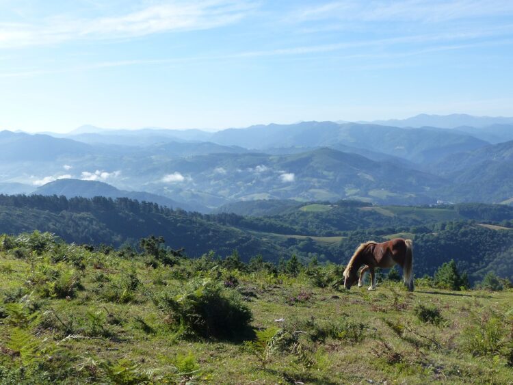 montagne à Irun au Pays Basque