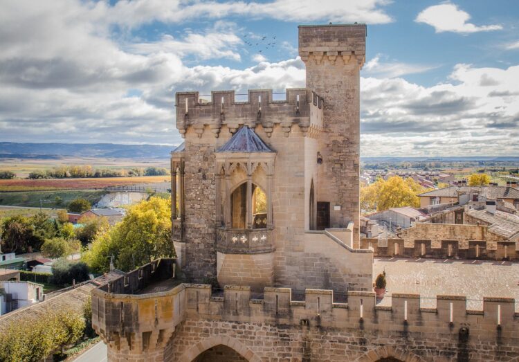 Château d'Olite