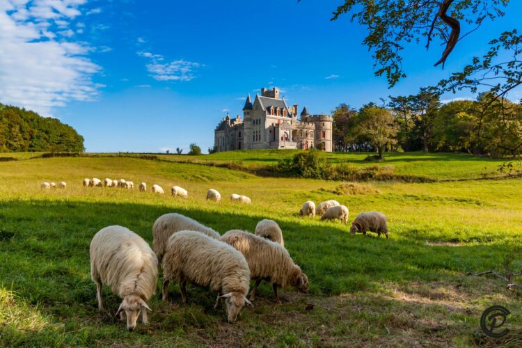 Château d’Abbadia -©Pierre Chambion