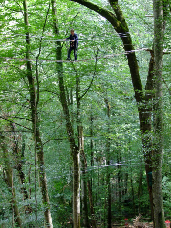 Parcours dans les cimes au parc Oba'o